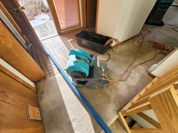 Best Professional water damage repair  in Bondurant, IA