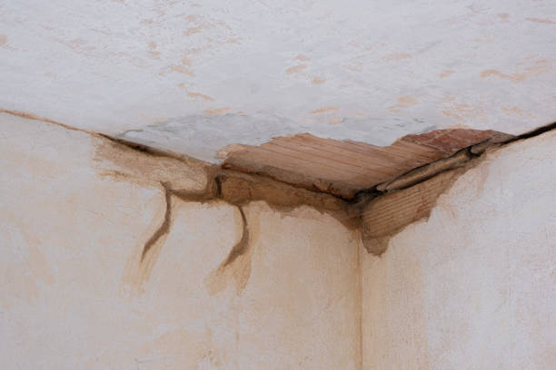 Best Water damage contractors near me  in Bondurant, IA