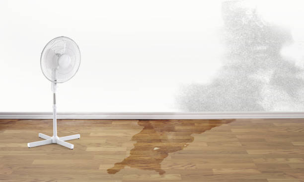 Best Water damage cleanup near me  in Bondurant, IA