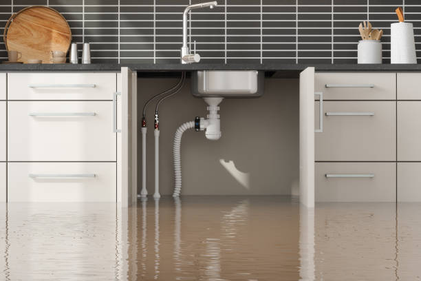 Best Carpet water damage restoration  in Bondurant, IA